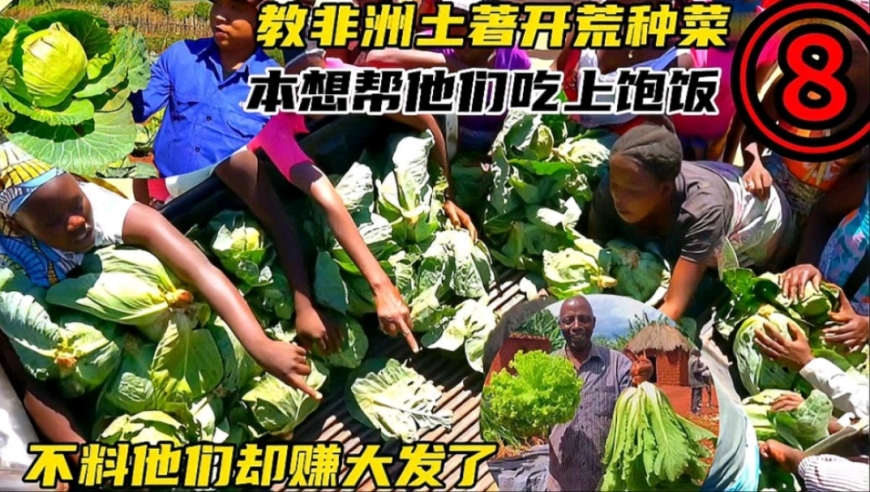 家长建议取消学校义工站岗,金鸡报论坛一肖中特网,动态词语解释落实_破例版V8.87