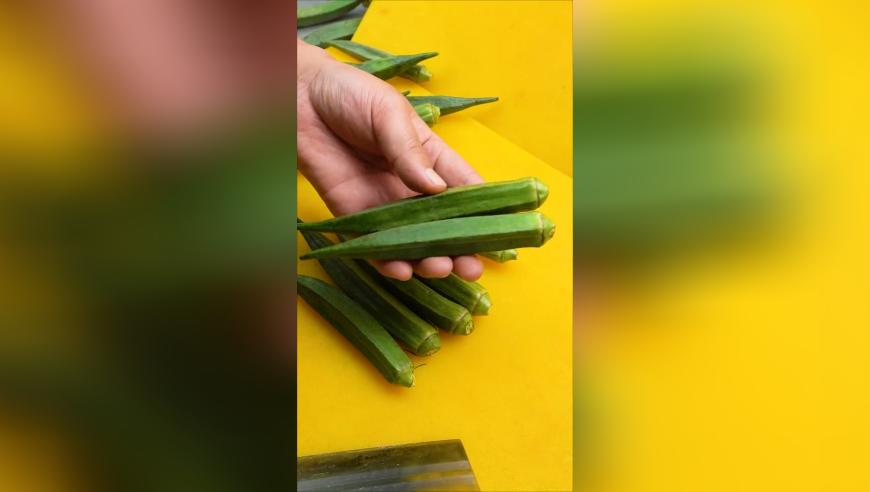 新澳门开彩红姐图庫彩图免费大全,芝加哥联储行长谈财政政策,决策资料解释落实_工具版V10.100