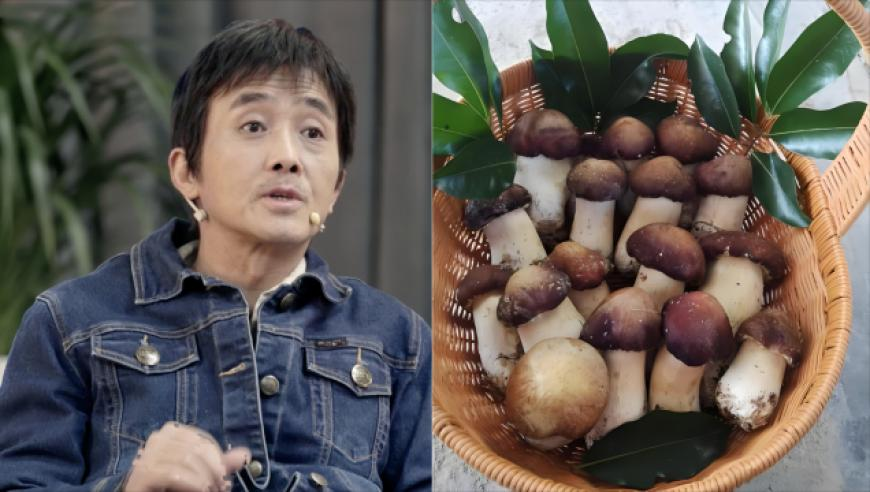 学者：俄乌战争的天平正在倾斜,综合挂牌之全篇100%,展开解析落实_社交版V13.43
