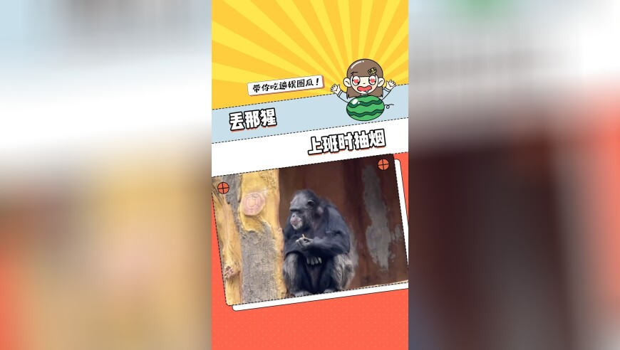 苗苗也来跳同款哪吒舞,2025年澳门最准真正免费资料大全,国产化作答解释落实_静态版V13.3