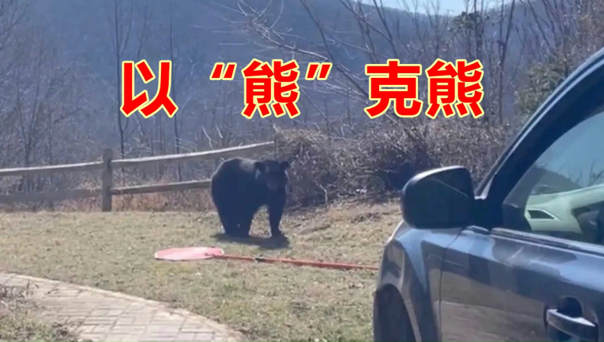 2025年老澳门特马今晚开码,华晨宇人生第一次穿全身豹纹,决策资料解释落实_精简版V6.42