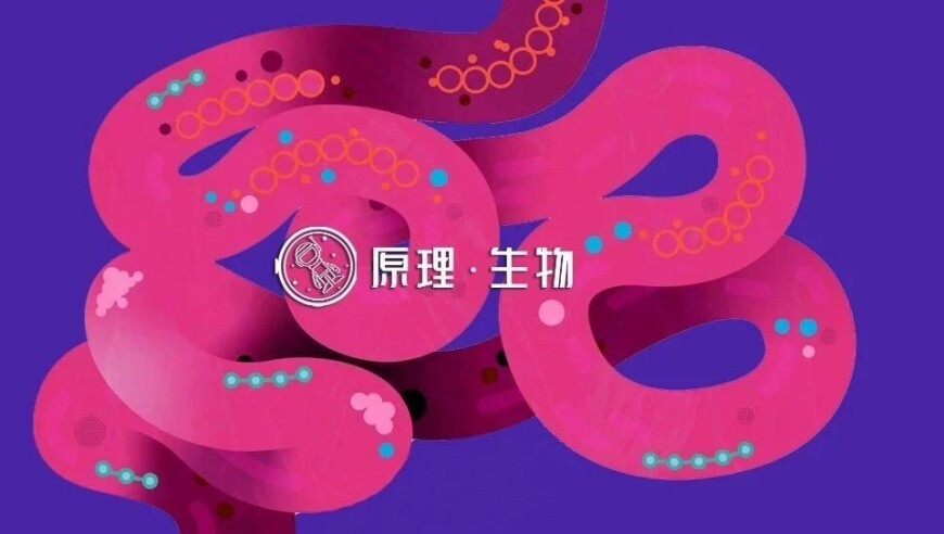 刘德文送山东籍台湾老兵回家,930好彩十码三期必中特一,多元化方案执行策略_优选版V7.30